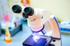 Programs of Natural & Computational Science College