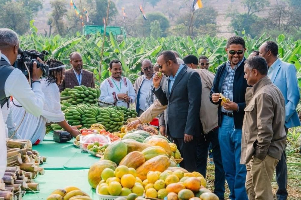 Fruit & Vegitable @DaDU.jpg