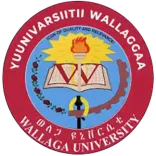 Wollega University